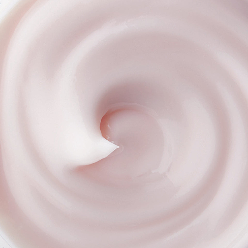Ageless Enriching Renewal Cream - Everyday Beauty Essential
