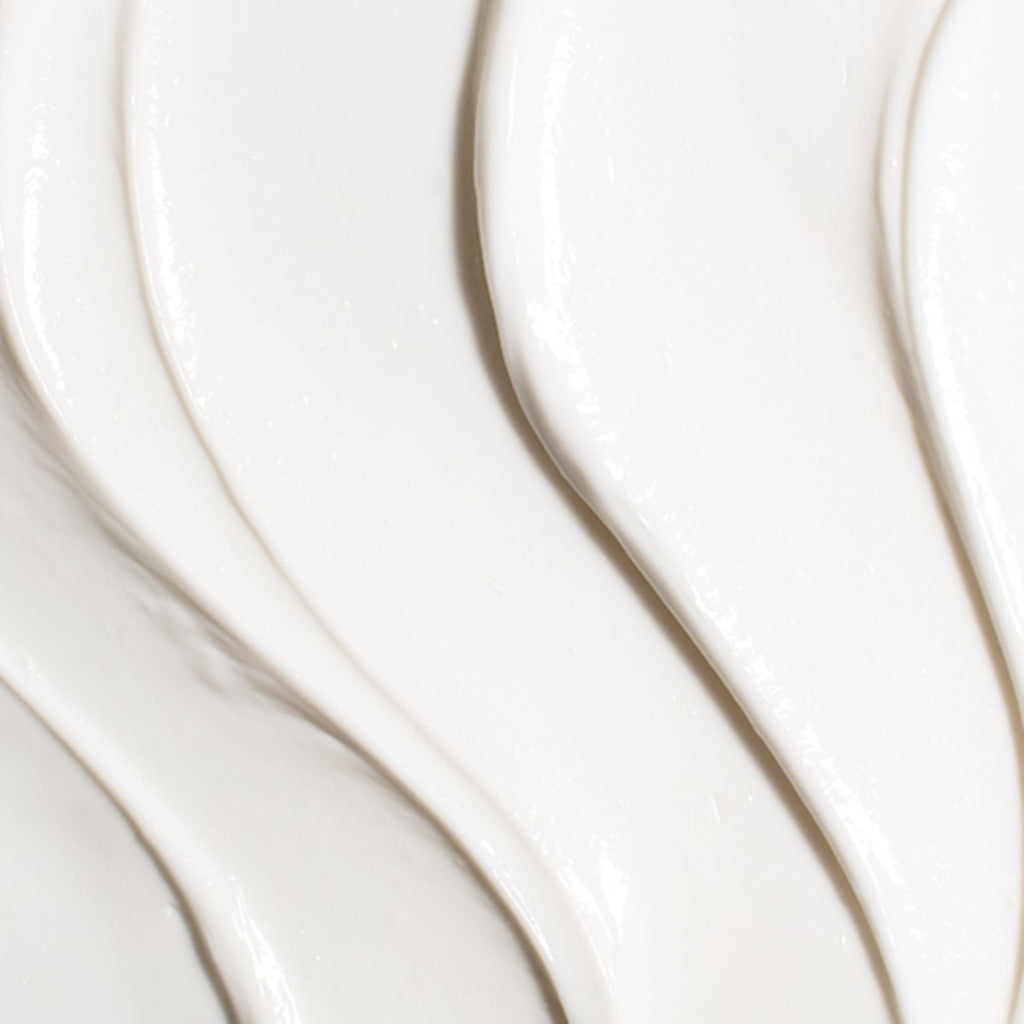 Ageless Revitalizing Neck Cream - Everyday Beauty Essential
