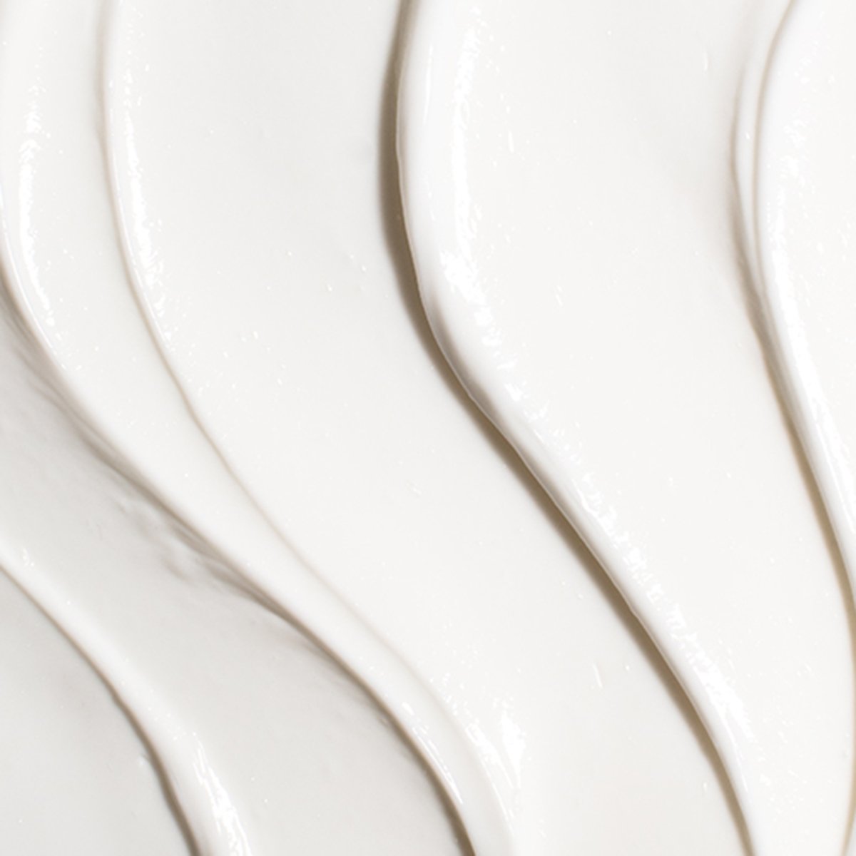 Ageless Revitalizing Neck Cream - Everyday Beauty Essential