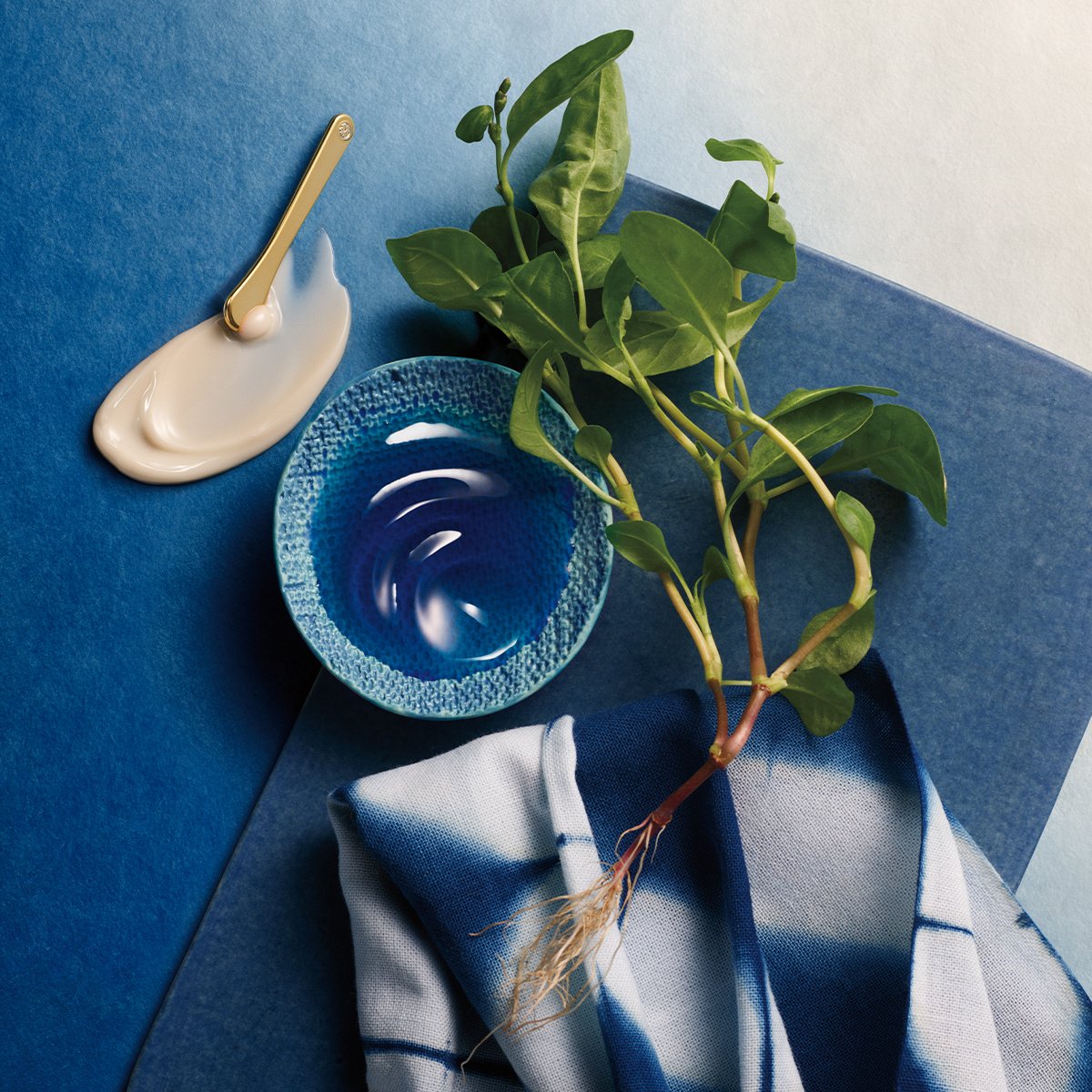 Indigo Overnight Repair - Everyday Essential