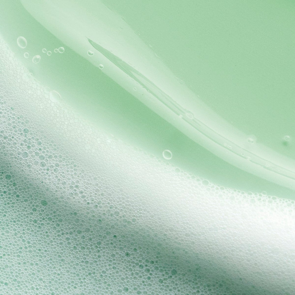The Matcha Cleanse - Everyday Essential